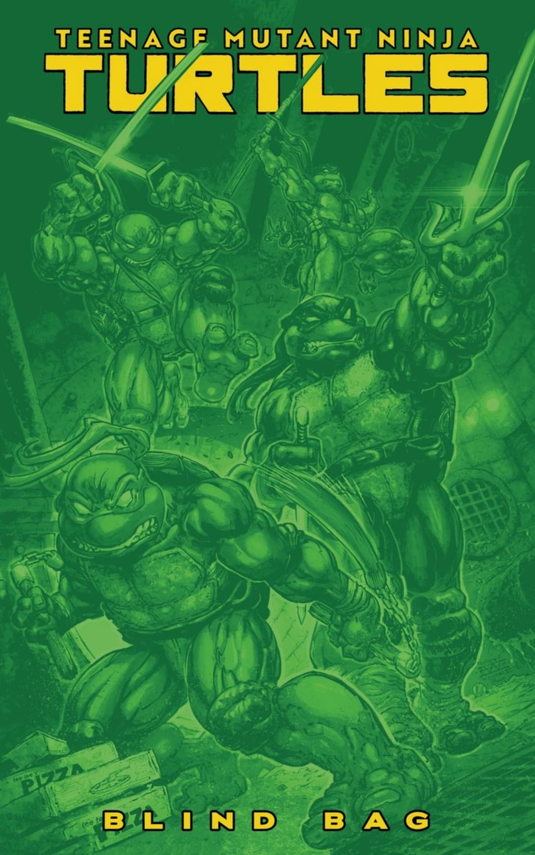 Teenage Mutant Ninja Turtles #13 Variant F (Blind Bag) PREORDER